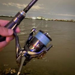 淀川ブリームゲーム