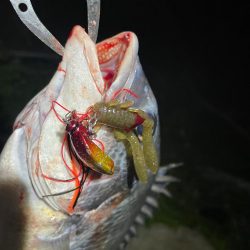 淀川ブリームゲーム