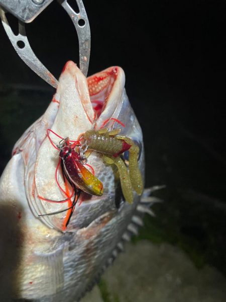 淀川ブリームゲーム