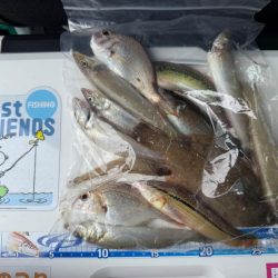 シロギス釣り🎣