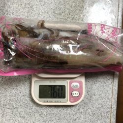 まさかのサイトでキロキャッチ