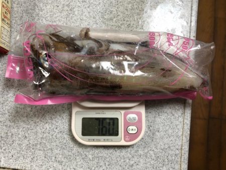 まさかのサイトでキロキャッチ