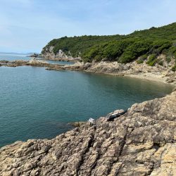 チヌ釣り　日生沖