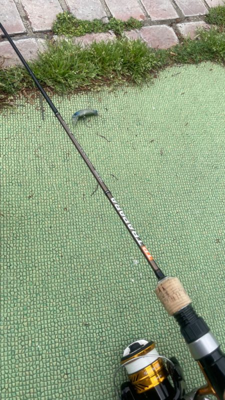 多摩湖フィッシングエリア