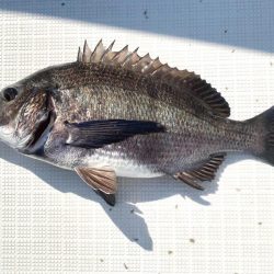 2025.5Mission大阪湾のつり①