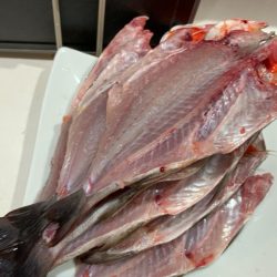 初のエサ釣り(イサキ)