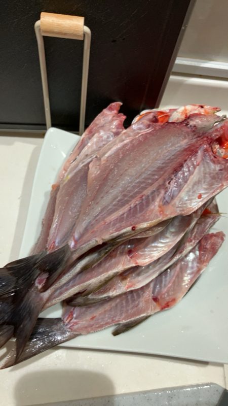 初のエサ釣り(イサキ)