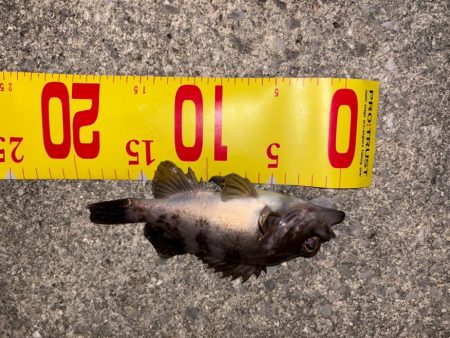 ルアーフィッシング