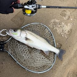 淀川　場所ムラがすごい