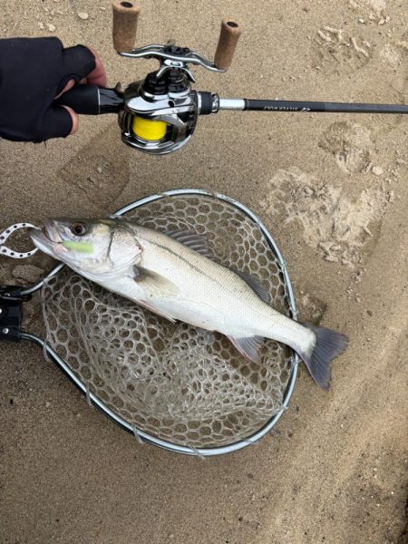 淀川　場所ムラがすごい