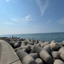 魚津港フカセ釣り