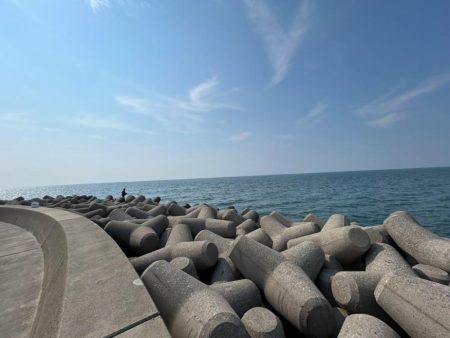 魚津港フカセ釣り