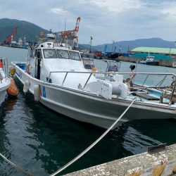 イカメタル開幕