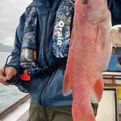 渋すぎヒトツテンヤ