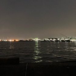 久しぶりに60を超えたか⁉︎