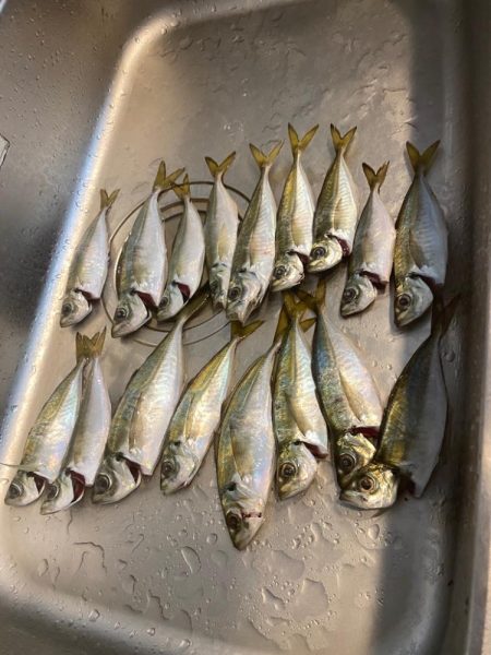 アジングつ抜け