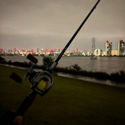 日曜日チニング