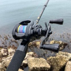 昼からのちょい投げ