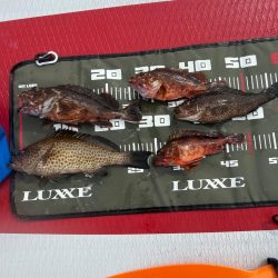 サップフィッシング