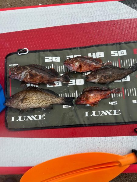 サップフィッシング