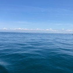 シーズン初タコ。本格的にはこれからか？