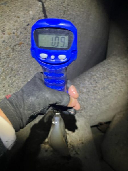 春アオリ🦑!開幕!!(^o^)/