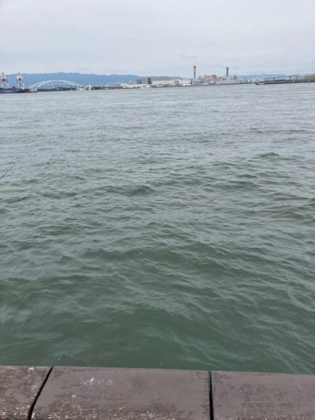 今年初の大阪湾奥。蛸散歩。。