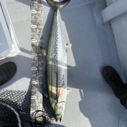 船上なんでも来い