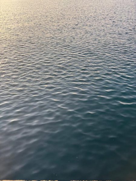 ナイトから朝マズメエギング