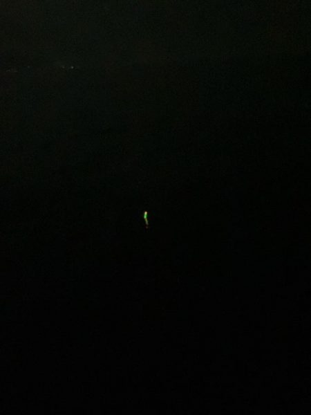 東二見メバル19