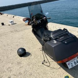 昼からのキス釣り