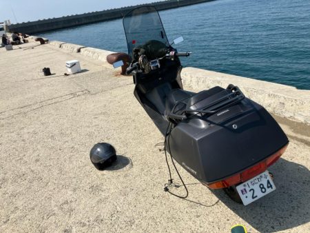 昼からのキス釣り