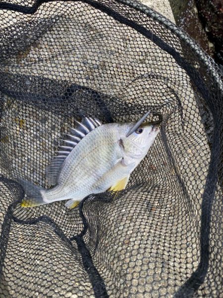 当たりは多いが