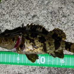 ライトワインド