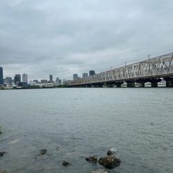 やっぱりチニング!