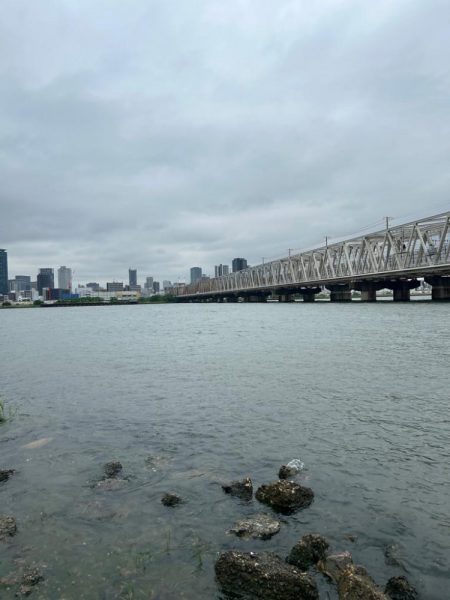 やっぱりチニング!