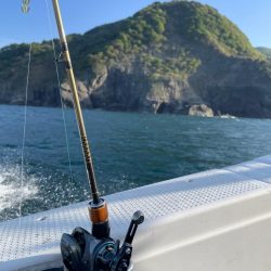 ヤリイカメタル