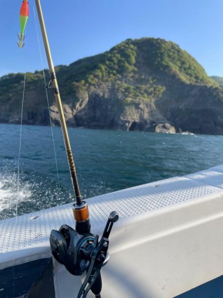 ヤリイカメタル