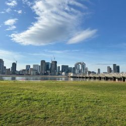 今年3枚目！(笑)