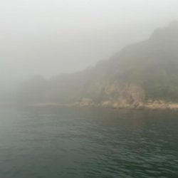 下津井 真鯛フカセ