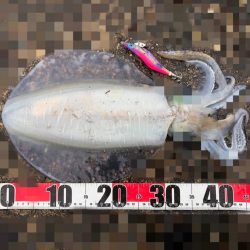 オッス、自己記録更新！