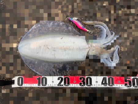 オッス、自己記録更新！