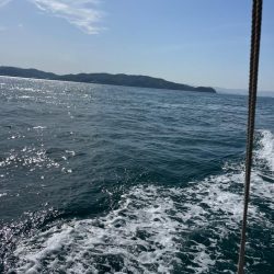 タイラバしたりして4目達成