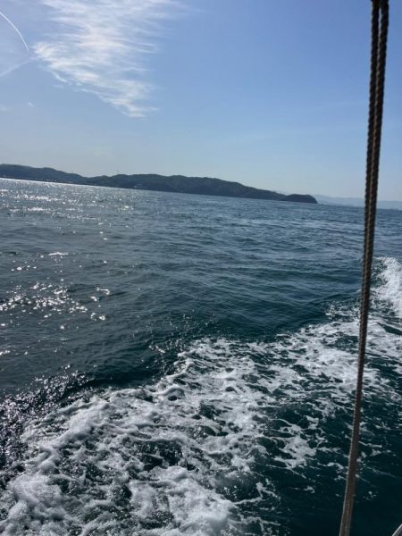 タイラバしたりして4目達成