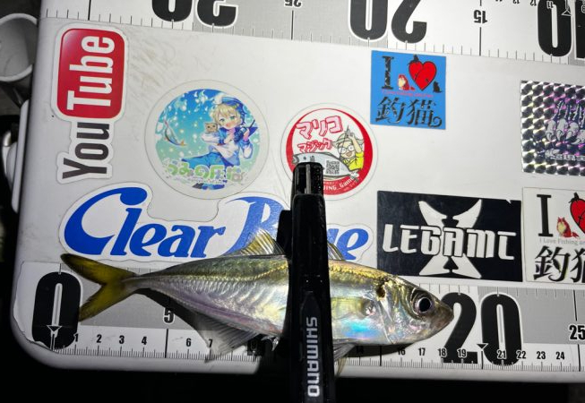 アジング>* ))))><