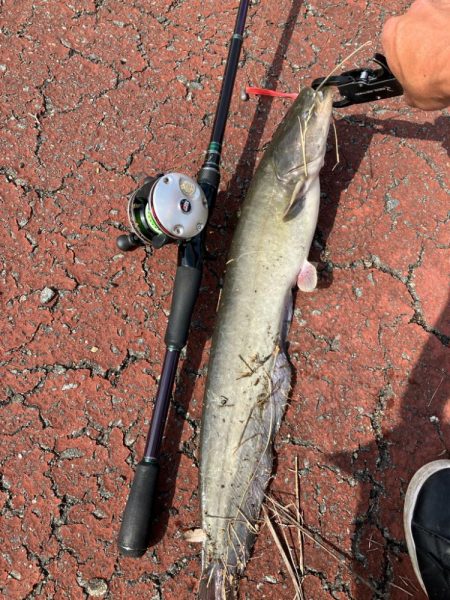 雨の後は良く釣れる