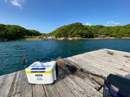 筏でアオリイカ他