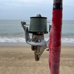 今回も地元のサーフで釣りました