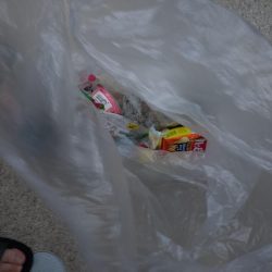 清掃活動：ファミリー鯛ラバ