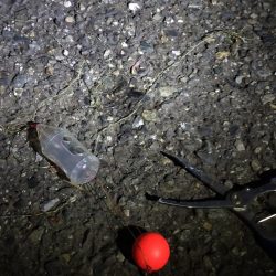 清掃活動：夕マズメの港で